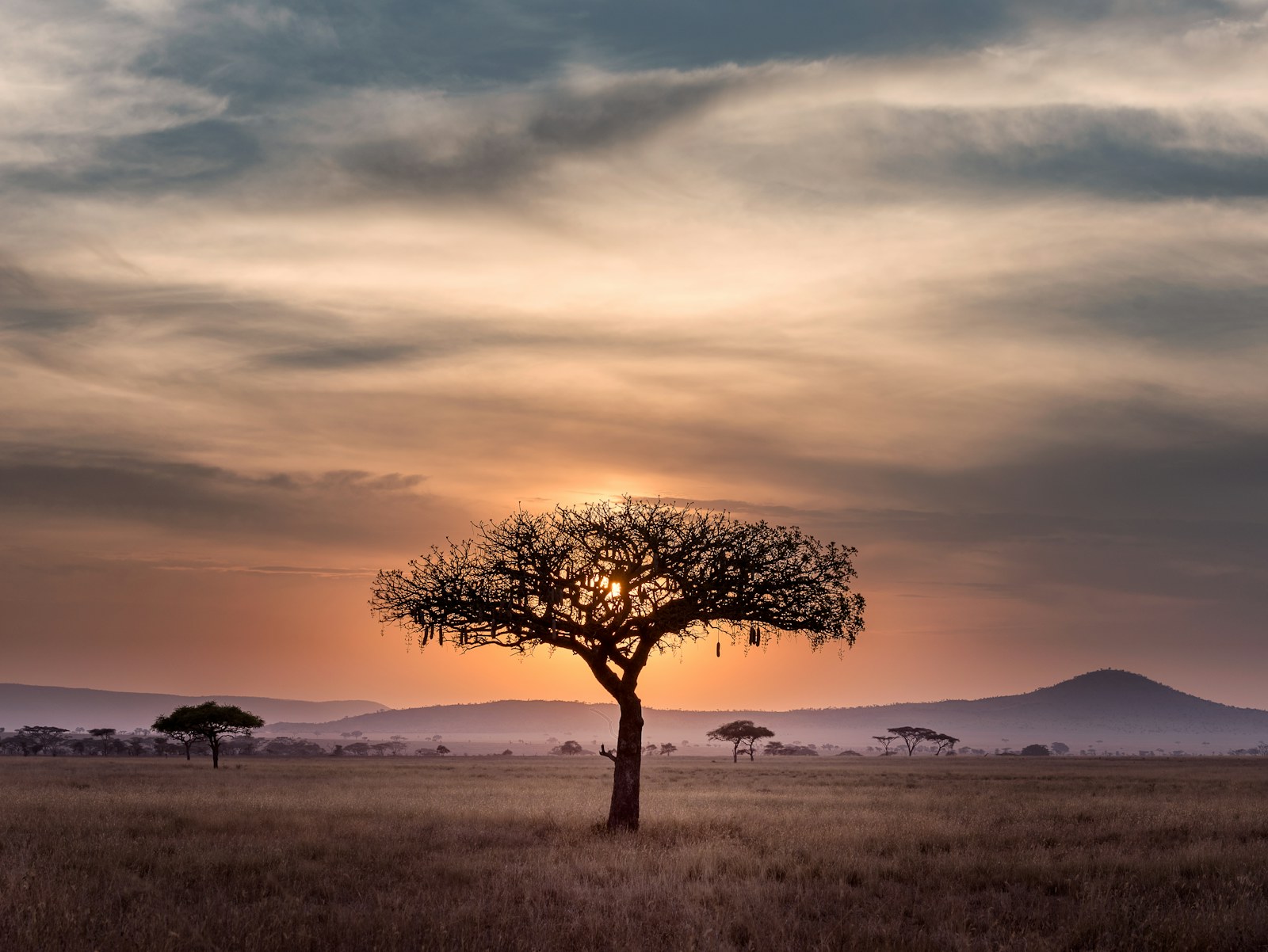 Expansive Ngorongoro landscape